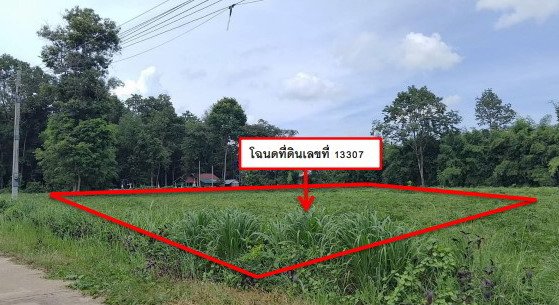 ขายทอดตลาด ที่ดินว่างเปล่า ต.โคกนาโก อ.ป่าติ้ว จ.ยโสธร