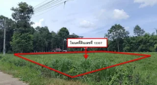 รูปทรัพย์ 1