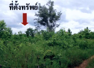 รูปทรัพย์ 2