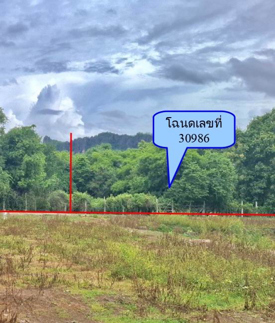 ขายทอดตลาด ที่ดินว่างเปล่า จ.ราชบุรี