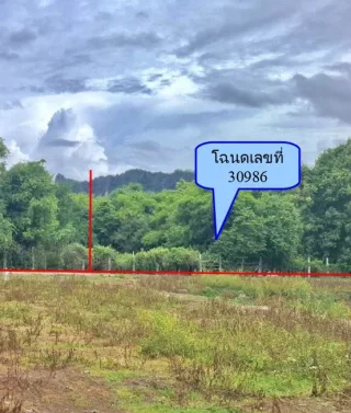 รูปทรัพย์ 1