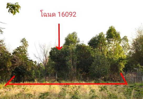 ขายทอดตลาด ที่ดินว่างเปล่า ต.โพธิ์ทอง อ.เสลภูมิ จ.ร้อยเอ็ด