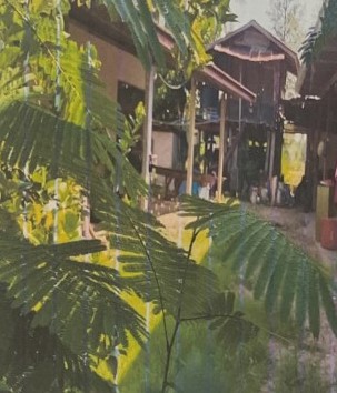 ขายทอดตลาด ที่ดินพร้อมสิ่งปลูกสร้าง ต.โนนตาล อ.เมืองร้อยเอ็ด จ.ร้อยเอ็ด