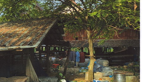 ขายทอดตลาด ที่ดินพร้อมสิ่งปลูกสร้าง ต.หนองกระทุ่ม อ.ปากท่อ จ.ราชบุรี