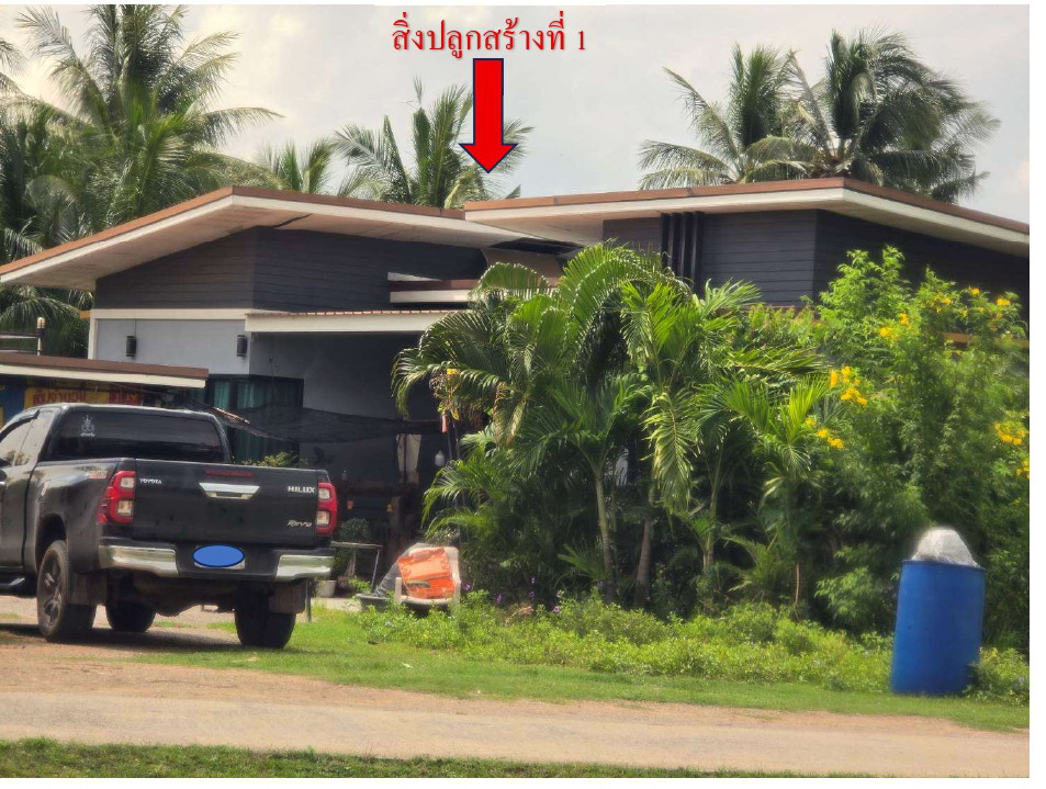 ขายทอดตลาด ที่ดินพร้อมสิ่งปลูกสร้าง ต.ดอนทราย อ.โพธาราม จ.ราชบุรี