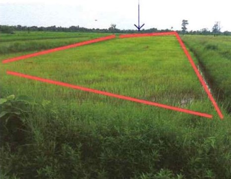 ขายทอดตลาด ที่ดินว่างเปล่า ต.ขวาว อ.เสลภูมิ จ.ร้อยเอ็ด