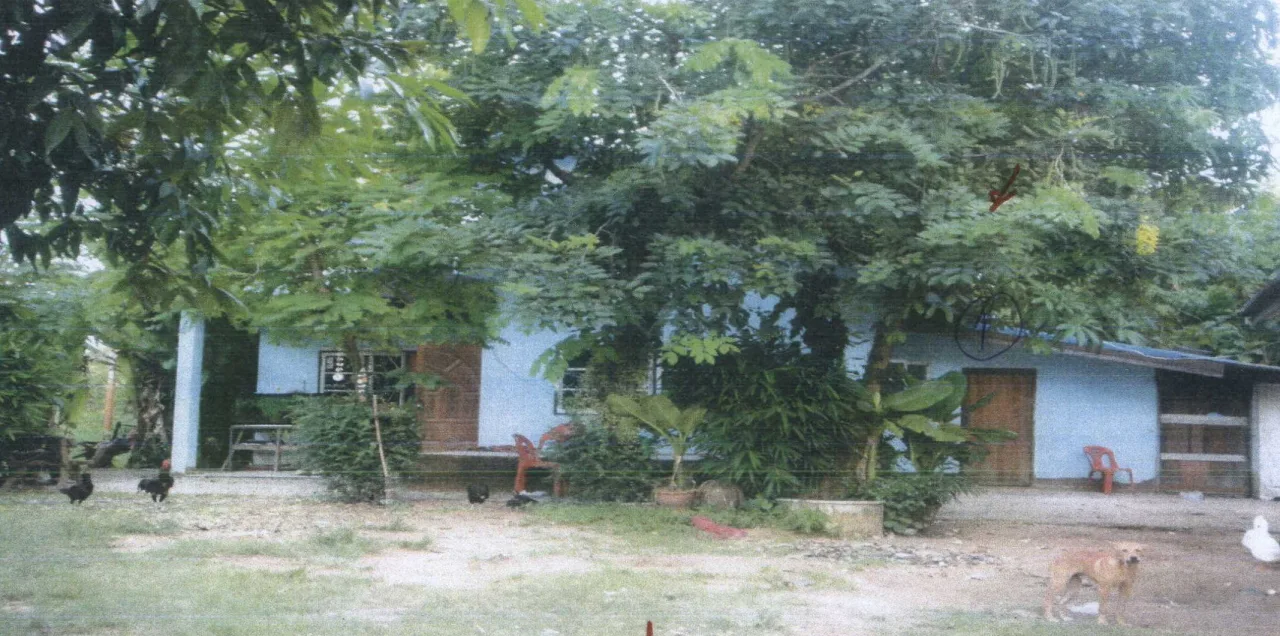 ขายทอดตลาด ที่ดินพร้อมสิ่งปลูกสร้าง ต.ลุมพุก อ.คำเขื่อนแก้ว จ.ยโสธร
