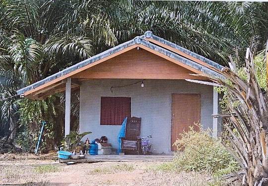 ขายทอดตลาด ที่ดินพร้อมสิ่งปลูกสร้าง ต.คลองหิน อ.อ่าวลึก จ.กระบี่