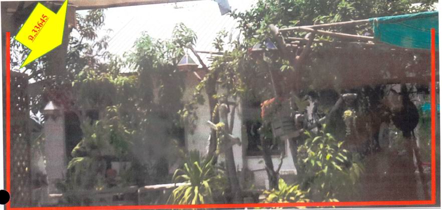 ขายทอดตลาด ที่ดินพร้อมสิ่งปลูกสร้าง ต.โคกสำราญ อ.เลิงนกทา จ.ยโสธร