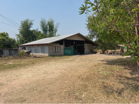 ขายทอดตลาด ที่ดินพร้อมสิ่งปลูกสร้าง ต.นาอุดม อ.โพนทอง จ.ร้อยเอ็ด