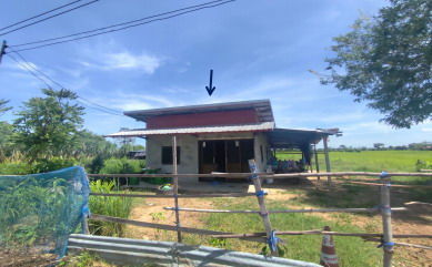 ขายทอดตลาด ที่ดินพร้อมสิ่งปลูกสร้าง ต.ดงแดง อ.จตุรพักตรพิมาน จ.ร้อยเอ็ด