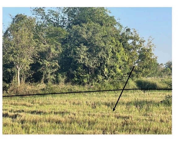 ขายทอดตลาด ที่ดินว่างเปล่า ต.กุดน้ำใส อ.พนมไพร จ.ร้อยเอ็ด