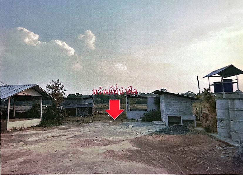 ขายทอดตลาด ที่ดินพร้อมสิ่งปลูกสร้าง ต.พระเสาร์ อ.มหาชนะชัย จ.ยโสธร