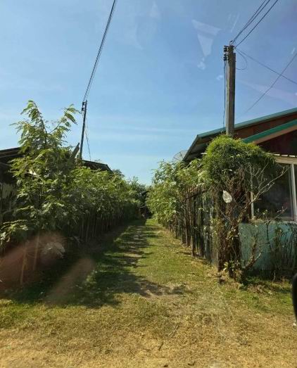 ขายทอดตลาด ที่ดินพร้อมสิ่งปลูกสร้าง ต.ลำชี อ.ฆ้องชัย จ.กาฬสินธุ์