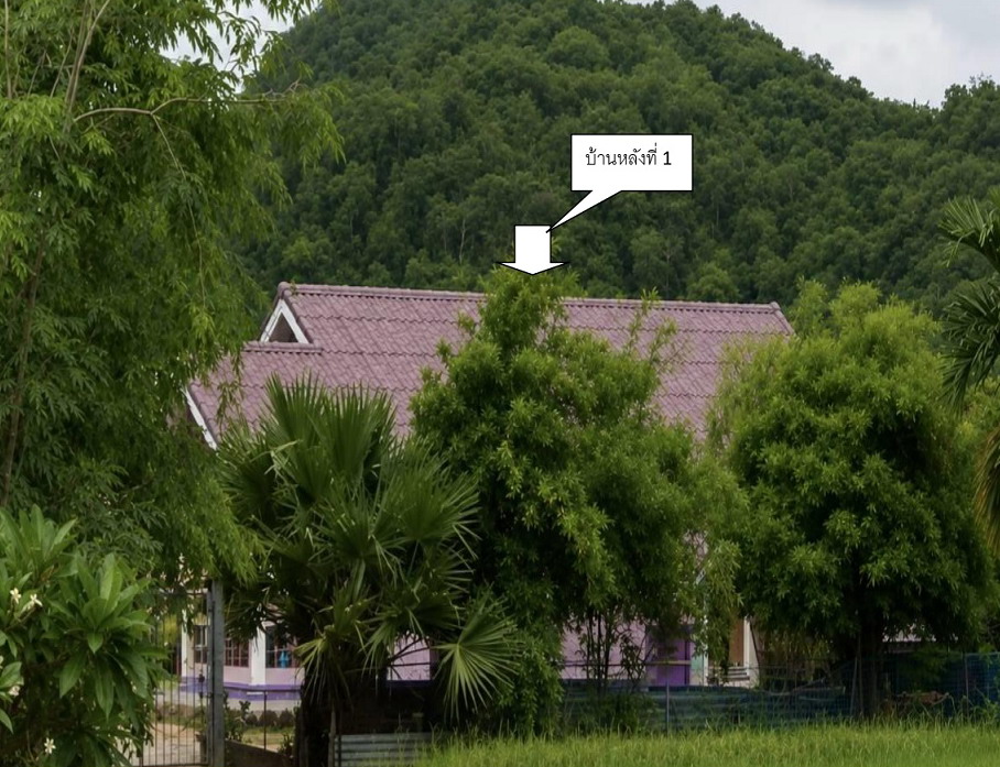 ขายทอดตลาด ที่ดินพร้อมสิ่งปลูกสร้าง ต.เตาปูน อ.โพธาราม จ.ราชบุรี