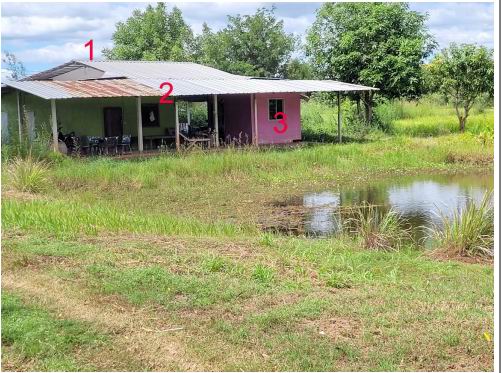ขายทอดตลาด ที่ดินพร้อมสิ่งปลูกสร้าง ต.หัวช้าง อ.จตุรพักตรพิมาน จ.ร้อยเอ็ด