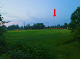 รูปทรัพย์ 1