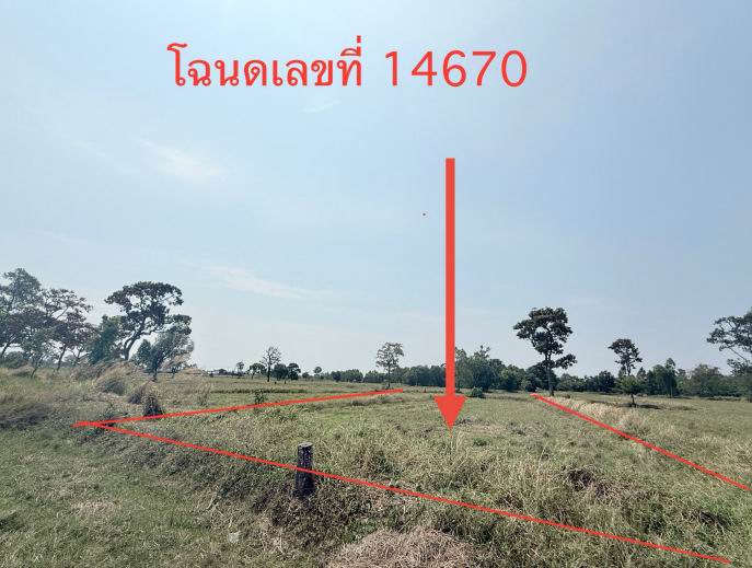 ขายทอดตลาด ที่ดินว่างเปล่า ต.บ้านแจ้ง อ.อาจสามารถ จ.ร้อยเอ็ด