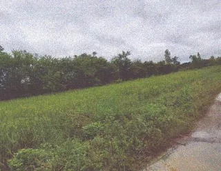 รูปทรัพย์ 1