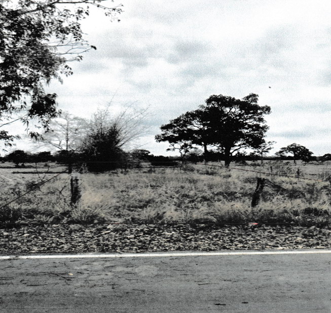 ขายทอดตลาด ที่ดินว่างเปล่า ต.สำราญ อ.เมืองยโสธร จ.ยโสธร