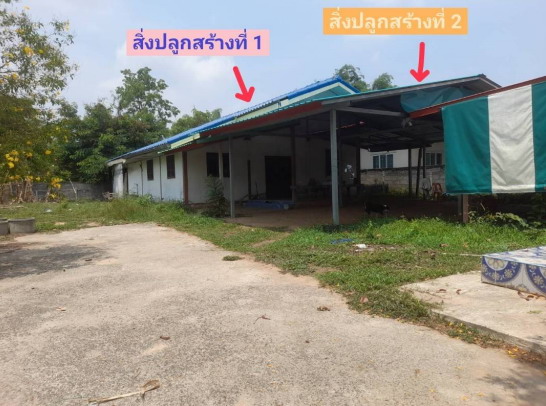 ขายทอดตลาด ที่ดินพร้อมสิ่งปลูกสร้าง ต.ปาฝา อ.จังหาร จ.ร้อยเอ็ด