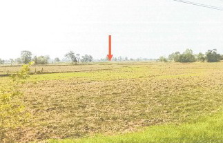 ขายทอดตลาด ที่ดินว่างเปล่า ต.หนองผือ อ.เมืองสรวง จ.ร้อยเอ็ด