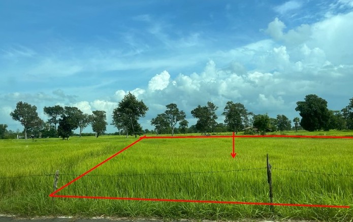 ขายทอดตลาด ที่ดินว่างเปล่า ต.โพนทัน อ.คำเขื่อนแก้ว จ.ยโสธร