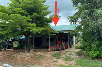 ขายทอดตลาด ที่ดินพร้อมสิ่งปลูกสร้าง ต.อุ่มเม้า อ.ธวัชบุรี จ.ร้อยเอ็ด