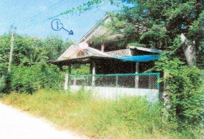 ขายทอดตลาด ที่ดินพร้อมสิ่งปลูกสร้าง ต.ศรีแก้ว อ.เลิงนกทา จ.ยโสธร
