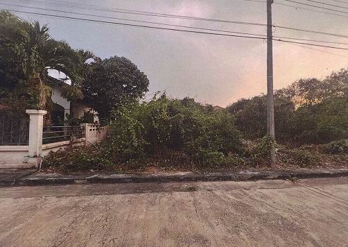 ขายทอดตลาด ที่ดินว่างเปล่า จ.ราชบุรี