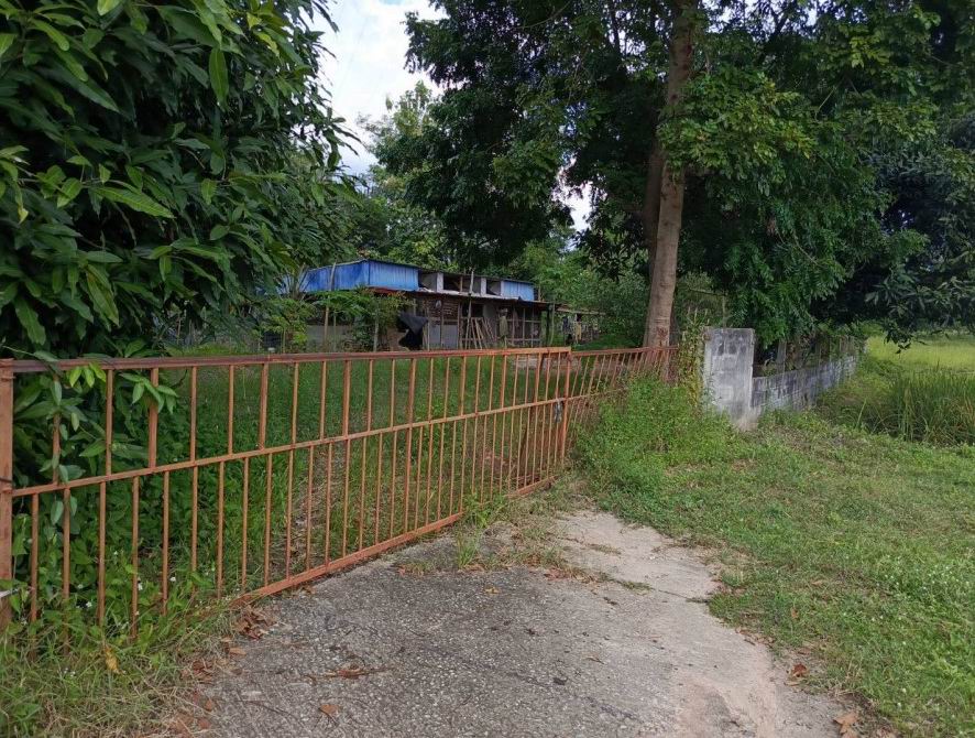 ขายทอดตลาด ที่ดินพร้อมสิ่งปลูกสร้าง ต.บัวขาว อ.กุฉินารายณ์ จ.กาฬสินธุ์