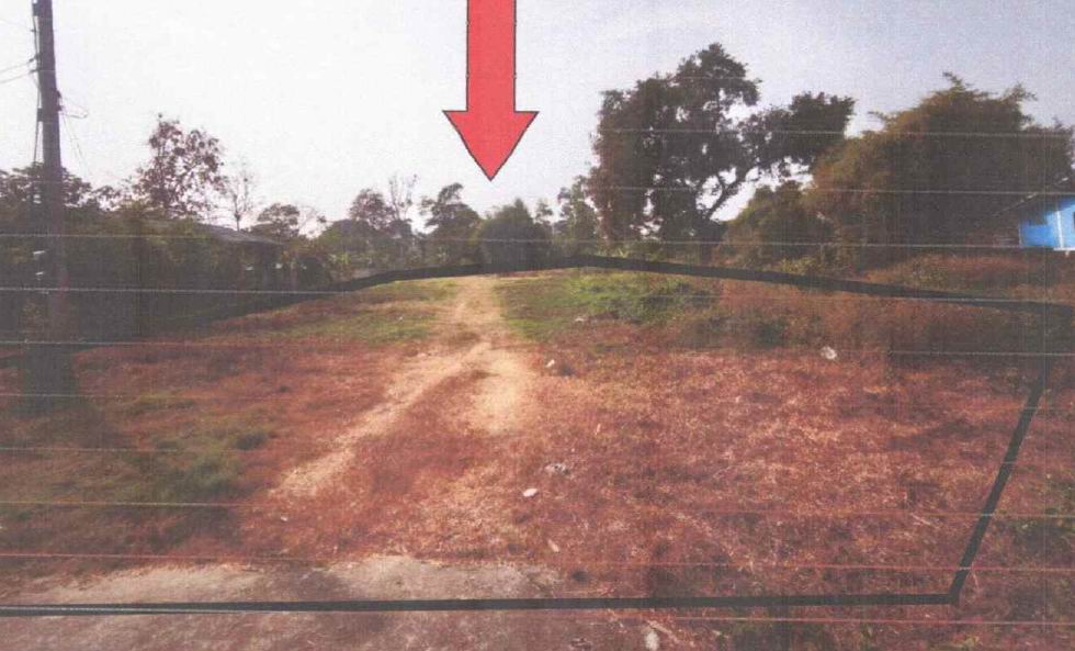 ขายทอดตลาด ที่ดินว่างเปล่า จ.ราชบุรี