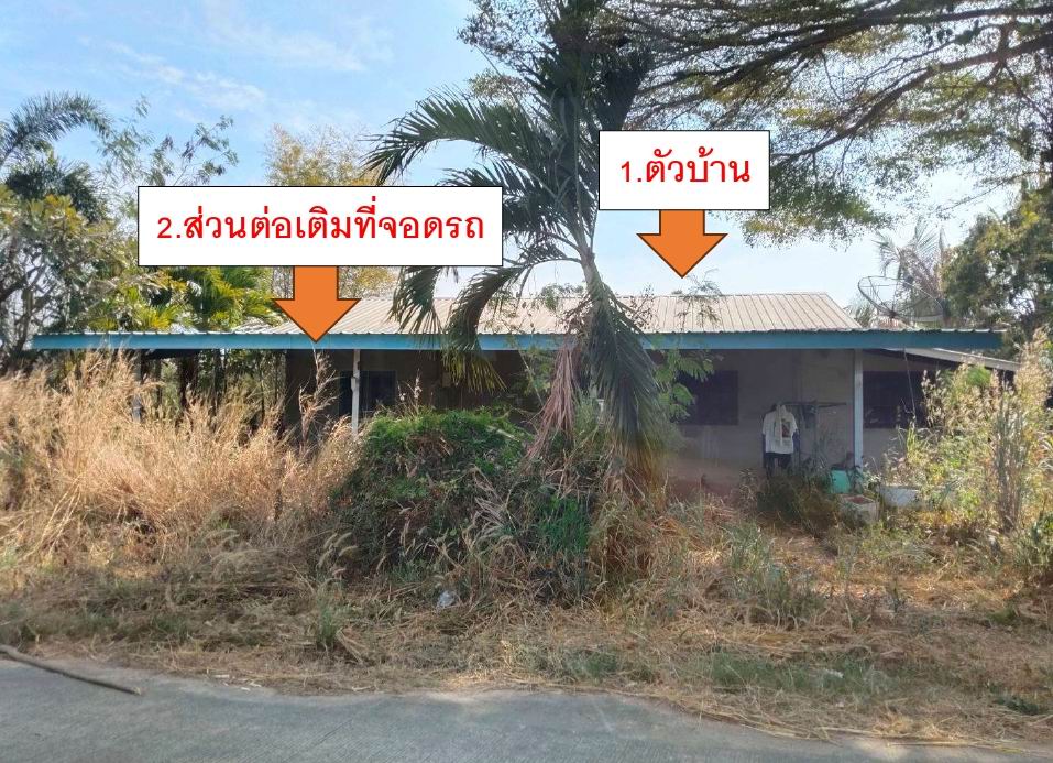 ขายทอดตลาด ที่ดินพร้อมสิ่งปลูกสร้าง ต.ทุ่งหลวง อ.ปากท่อ จ.ราชบุรี