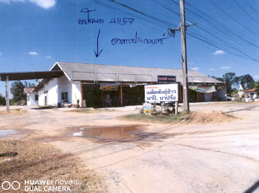 ขายทอดตลาด ที่ดินพร้อมสิ่งปลูกสร้าง ต.เกาะแก้ว อ.เสลภูมิ จ.ร้อยเอ็ด
