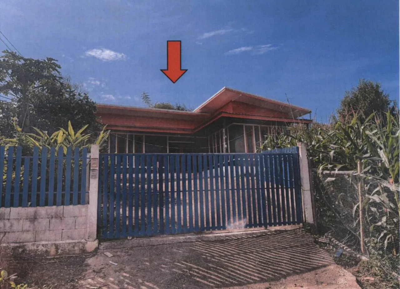 ขายทอดตลาด ที่ดินพร้อมสิ่งปลูกสร้าง ต.วังใต้ อ.วังเหนือ จ.ลำปาง