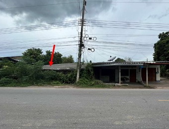 ขายทอดตลาด ที่ดินพร้อมสิ่งปลูกสร้าง ต.นางแก้ว อ.โพธาราม จ.ราชบุรี