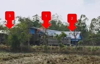 รูปทรัพย์ 2