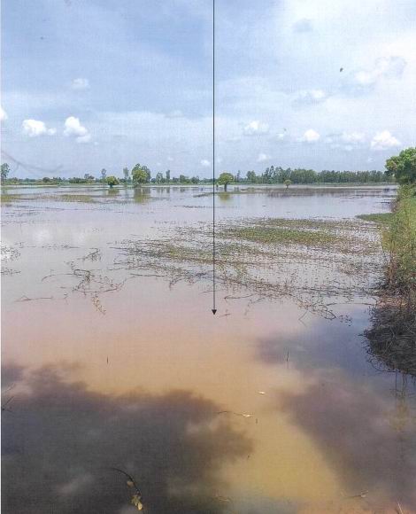 ขายทอดตลาด ที่ดินว่างเปล่า ต.หลุบ อ.เมืองกาฬสินธุ์ จ.กาฬสินธุ์