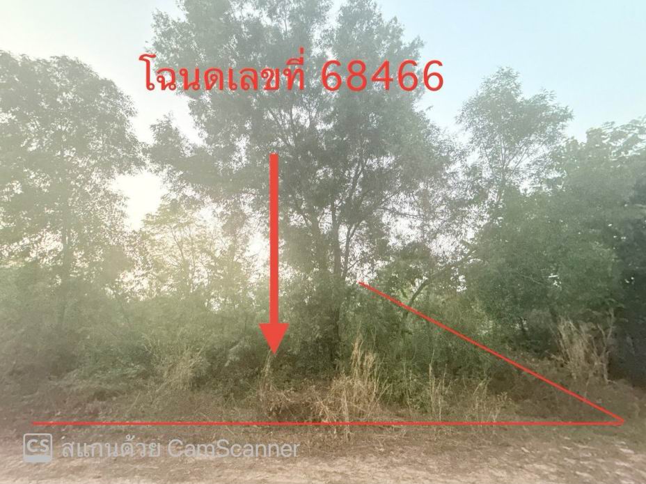 ขายทอดตลาด ที่ดินว่างเปล่า ต.นาโพธิ์ อ.เมืองร้อยเอ็ด จ.ร้อยเอ็ด