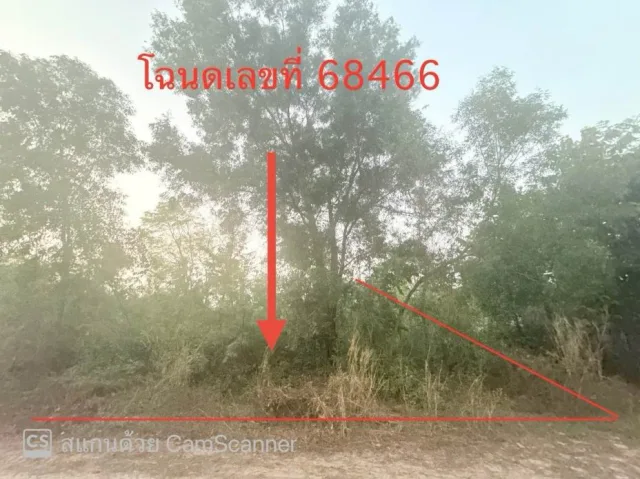 ขายทอดตลาด ที่ดินว่างเปล่า จ.ร้อยเอ็ด