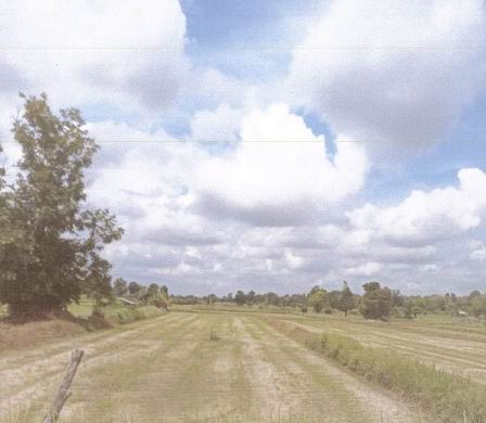 ขายทอดตลาด ที่ดินว่างเปล่า ต.สงเปลือย อ.นามน จ.กาฬสินธุ์