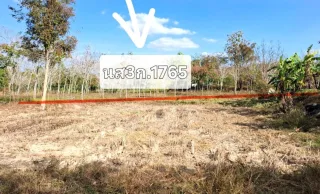 รูปทรัพย์ 2