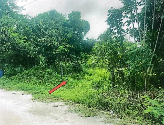ขายทอดตลาด ที่ดินว่างเปล่า จ.ร้อยเอ็ด