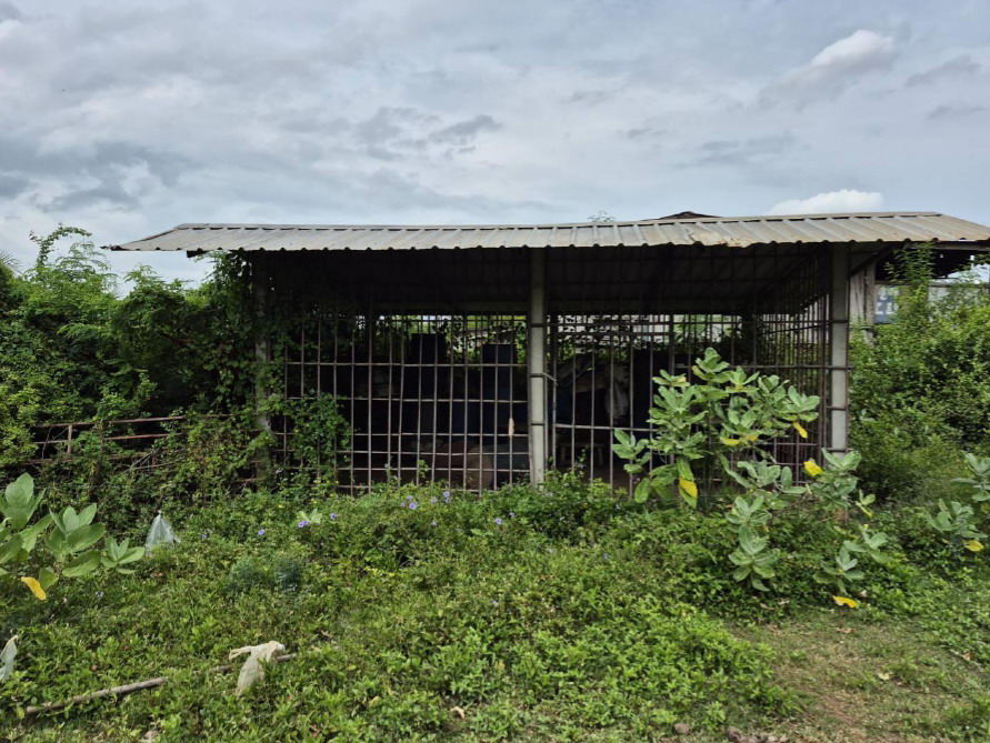ขายทอดตลาด ที่ดินพร้อมสิ่งปลูกสร้าง ต.วันดาว อ.ปากท่อ จ.ราชบุรี