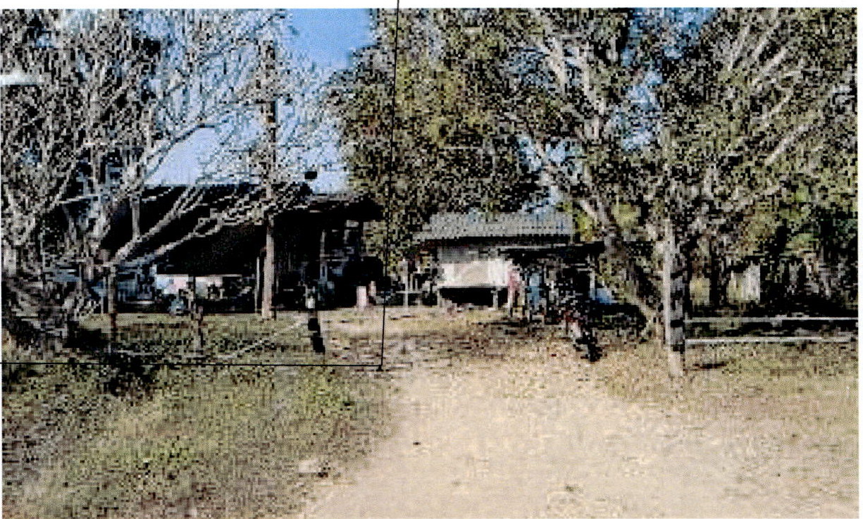 ขายทอดตลาด ที่ดินพร้อมสิ่งปลูกสร้าง ต.นาสัก อ.แม่เมาะ จ.ลำปาง