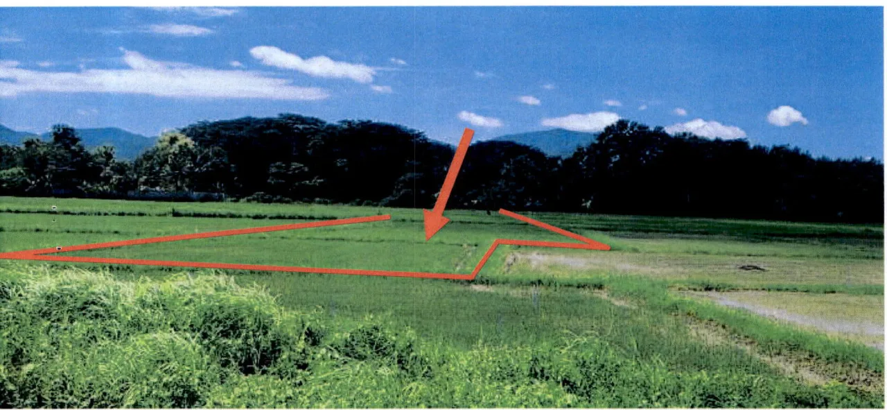 ขายทอดตลาด ที่ดินว่างเปล่า ต.ทุ่งฝาย อ.เมืองลำปาง จ.ลำปาง