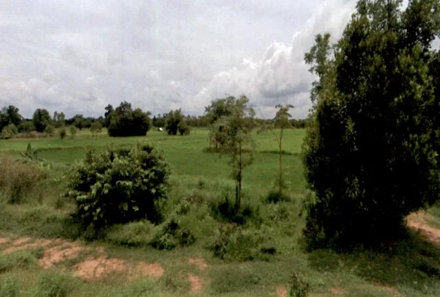 ขายทอดตลาด ที่ดินว่างเปล่า ต.แสนชาติ อ.จังหาร จ.ร้อยเอ็ด