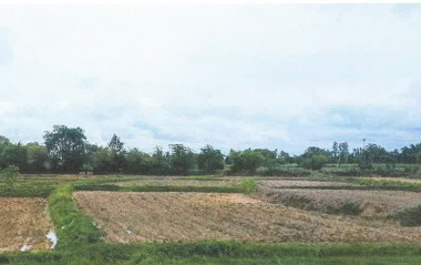 ขายทอดตลาด ที่ดินว่างเปล่า ต.สำราญ อ.คำม่วง จ.กาฬสินธุ์