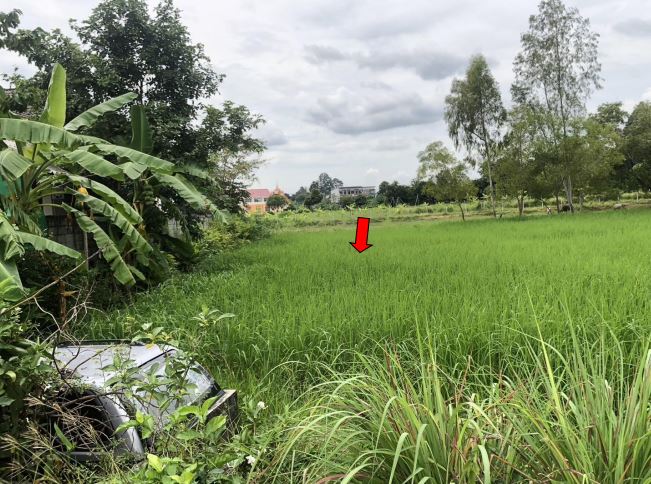 ขายทอดตลาด ที่ดินว่างเปล่า ต.รอบเมือง อ.เมืองร้อยเอ็ด จ.ร้อยเอ็ด