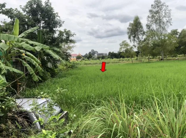 ขายทอดตลาด ที่ดินว่างเปล่า ต.รอบเมือง อ.เมืองร้อยเอ็ด จ.ร้อยเอ็ด